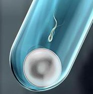 国内试管婴儿排名榜中哪家医院的排名比较好？