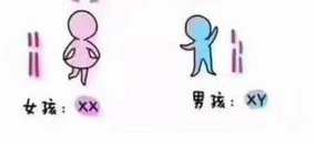 试管婴孩子宫内膜多发息肉该怎么办？