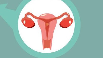 金城三代试管婴儿怀孕公司剖析，好锦城怎么样三代试管婴儿医院