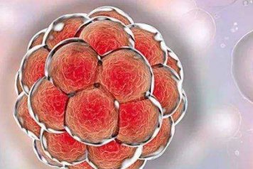 广东省第二人民医院人工试管婴儿成功率高吗？大约多少钱？